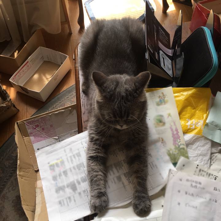 B4ed586b 375b 49b8 ad01 40c3feebb5fc