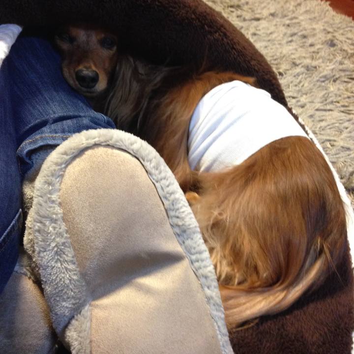 B4edbabf 3597 4b09 905e ad72353ec0a3