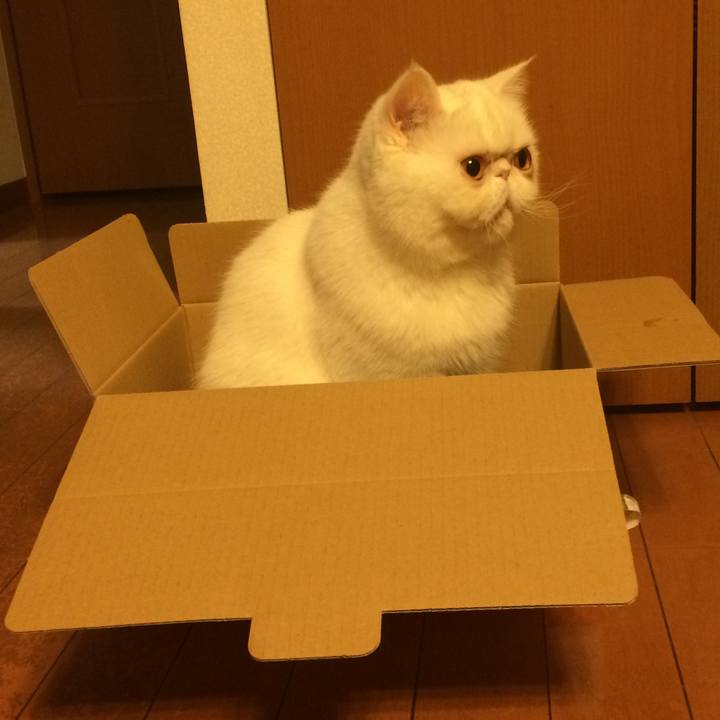 B4ee276b 3b16 4c25 b021 65fe75b5d0c3