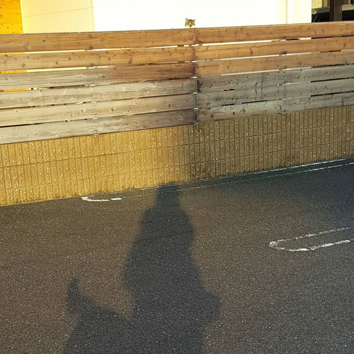 B4ee47d2 543c 4332 bf3b 66abf7f5f140