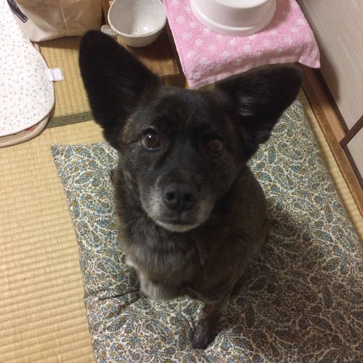 B4ee4b39 cc00 4564 b8ca 28a61c605f76