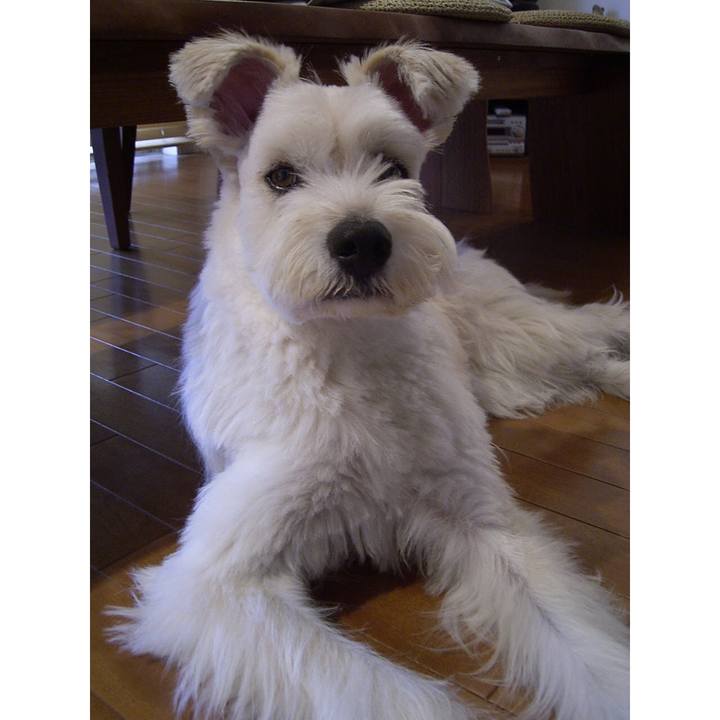 B4eed218 c065 42e8 9a62 5360e235b193