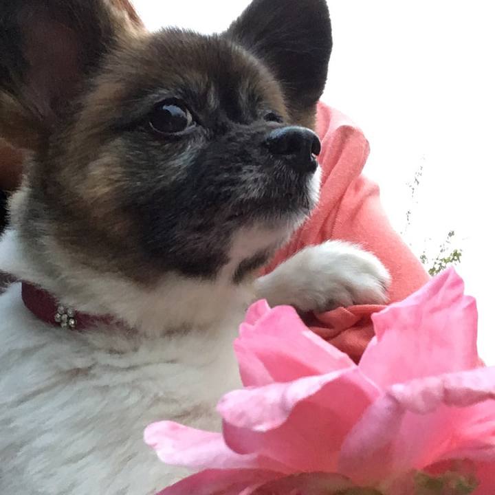 B4eee450 6451 4936 8ad3 6d708e2679fd