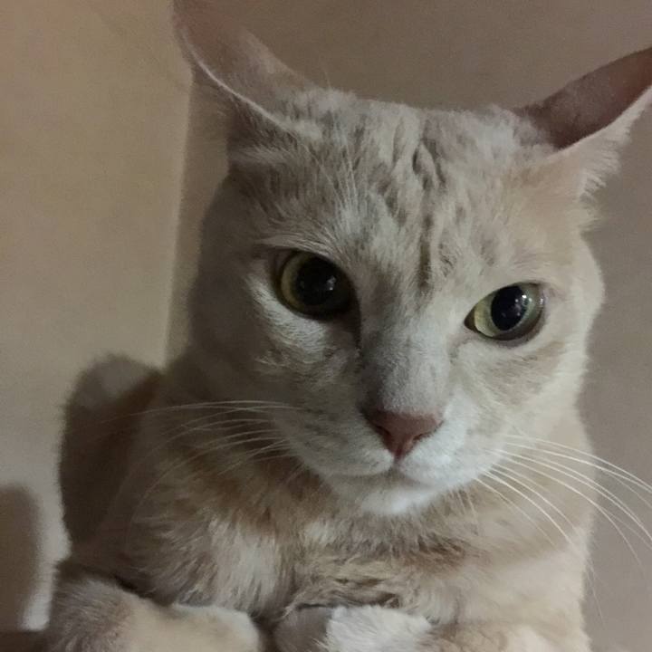 B4ef3f4b e1bc 4712 9c0d e53b93606dc1