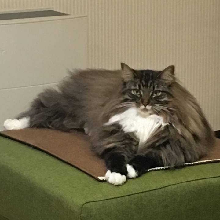 B4eff101 07ec 4553 a2d5 321eb60748d7