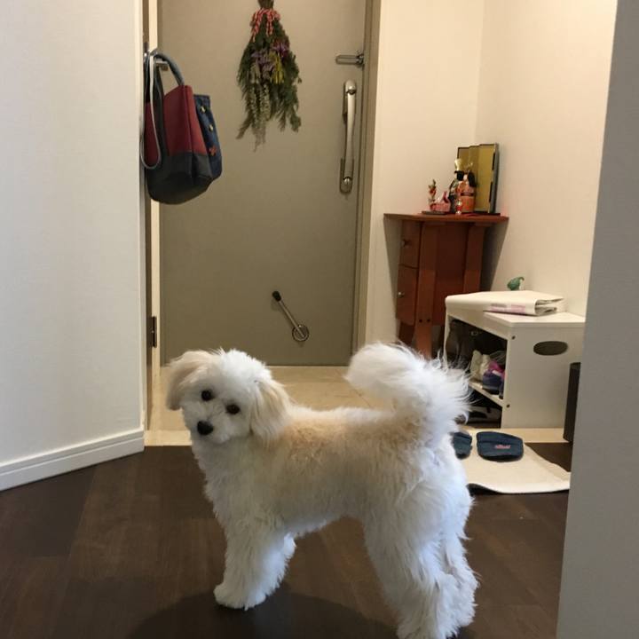 B4f06602 58c2 4410 a26a 82871823cf10