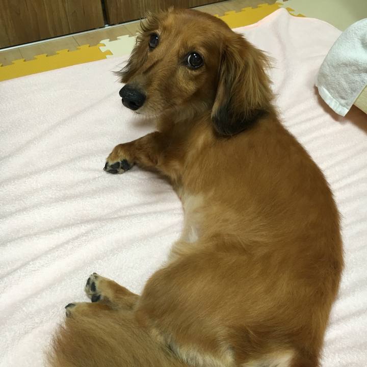 B4f09437 074f 4634 90ea c681377debb6