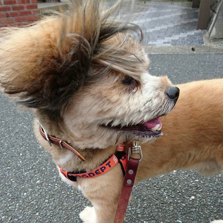 B4f15070 f2ef 4e90 b9f6 6c75ecbb3a4a