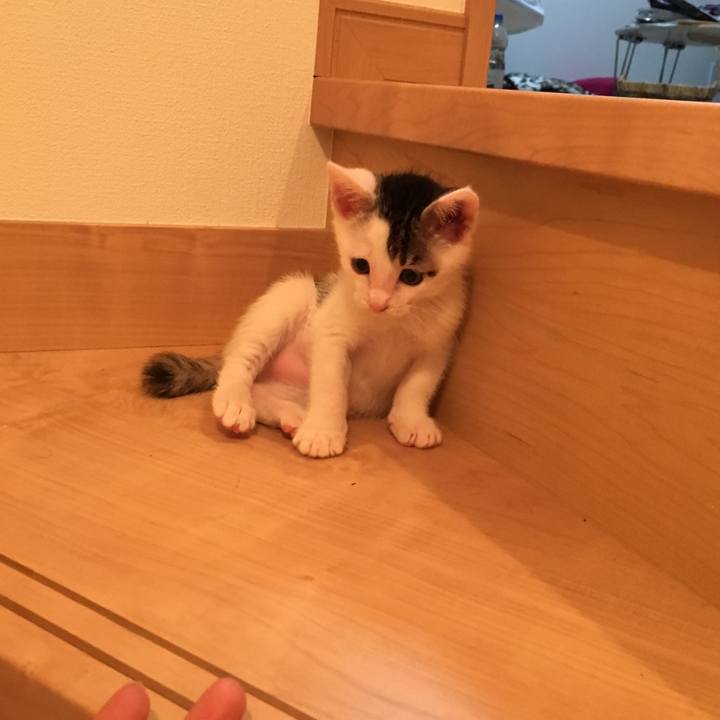 B4f1732e b68f 4743 b8ee 0ca496e001f4