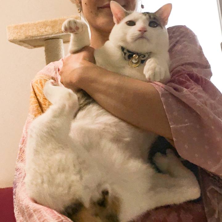 B4f185ca a4c9 46af 831d 50765802dd0d