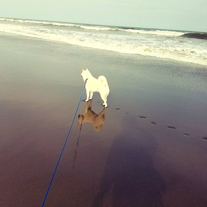 B4f1d4b2 0bd2 4f02 81ef cd522897e88f