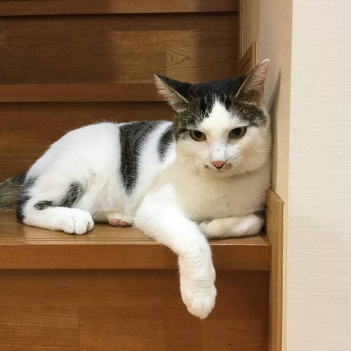 B4f1e94f 5fb8 4255 a772 99e1d341eeea