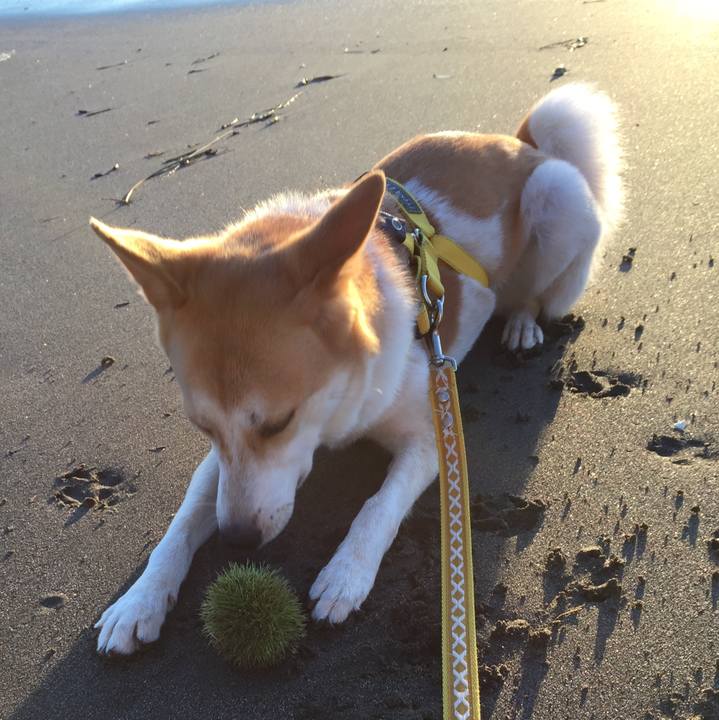 B4f20514 8da2 4a53 b054 df660e996edc