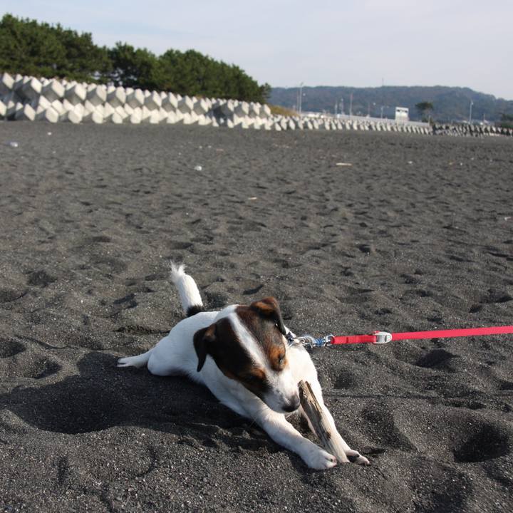 B4f2063d 5a82 4079 a2a9 6ff5e3c39eaa