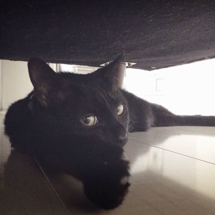 B4f2228c 2821 4dd1 b20c 63999cc117b6