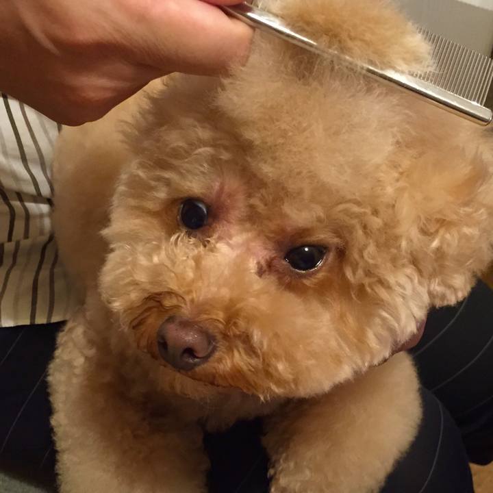 B4f3a53c 897c 415a 8ea5 ff5951d6ce0f