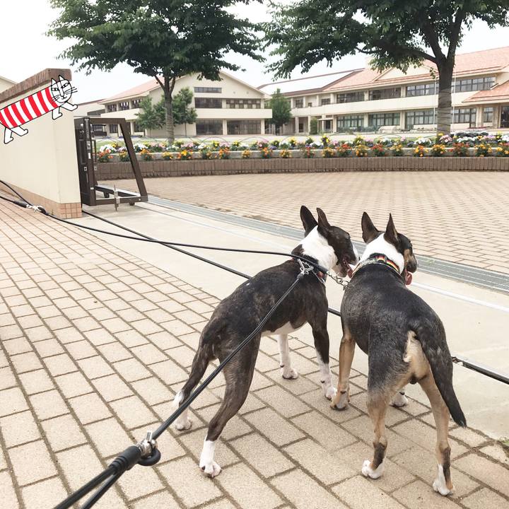 B4f3a990 58b0 42dc 9aca a9bed4070f07