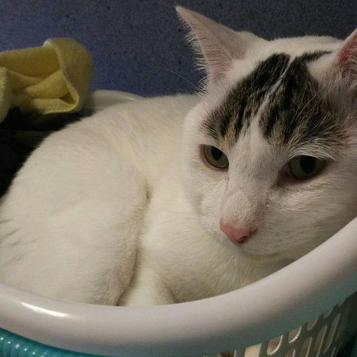 B4f43e0e 59fe 4fa3 b4c7 387f48c93506