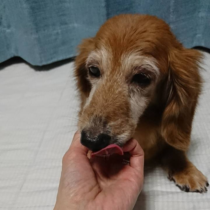 B4f54db6 9573 446c bdf3 830c03f025bb