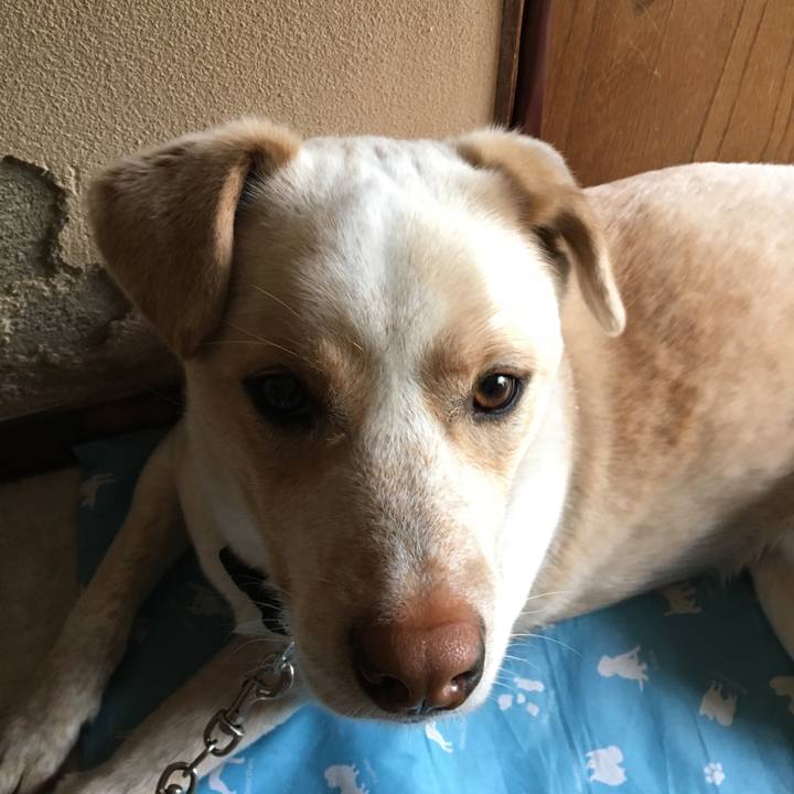 B4f6328d 1df2 4d01 98ca 91f3e183a7d4