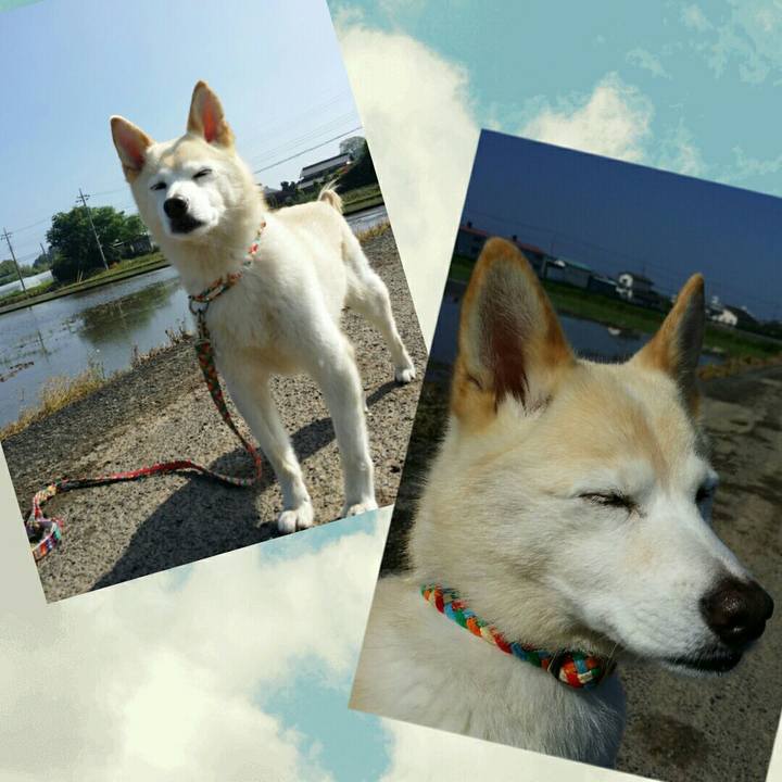 B4f6932a d472 4ac2 8ad2 da4a86441ee9