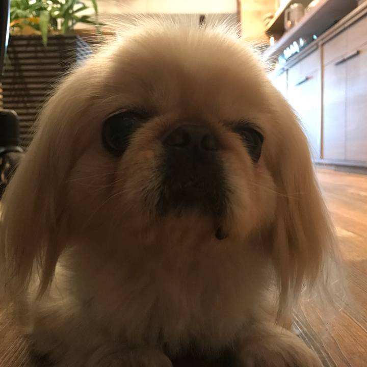 B4f7004e 922c 4fd6 8c75 9b8106d84594