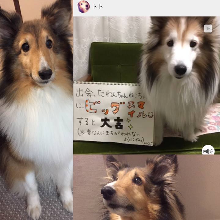 B4f7956d d4b2 42e0 bdd0 bcde5dac53d5