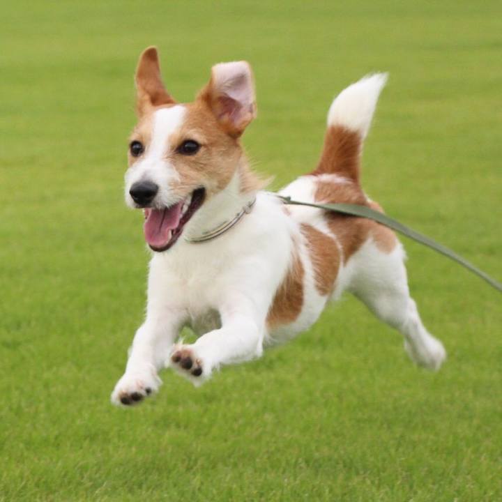 B4f892ee c8b9 4803 a0e3 89ef652a23c0