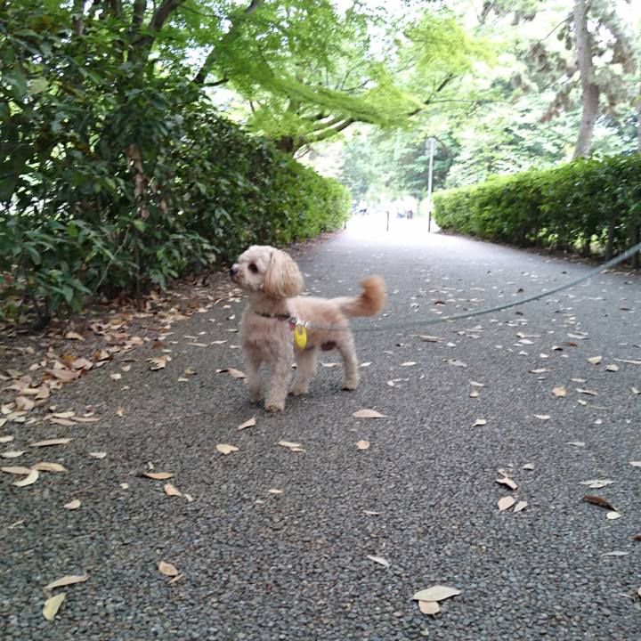 B4f8ab5b d256 4539 984d 1e43c8dd284f