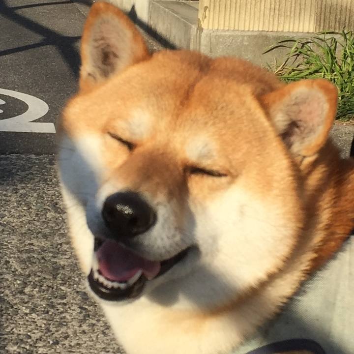 B4f8ecb4 fc83 4d54 90cf 3b1005d95a3f