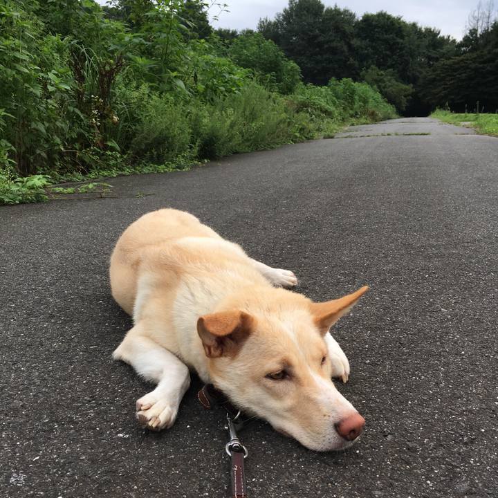 B4f92429 45ee 4f17 8893 9324360550e9