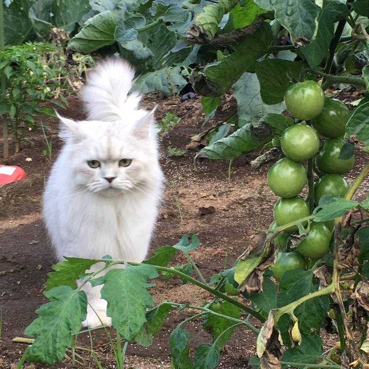 B4f92a6c e729 4085 a649 45850c4b6359