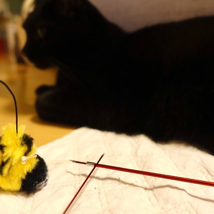 B4f99759 f1a9 493f 942e 6f02badd5ce8