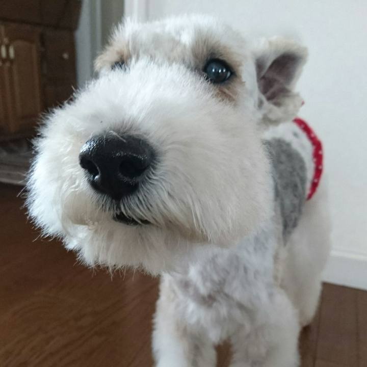 B4faa65e fd5b 41e0 9456 f05449b37195