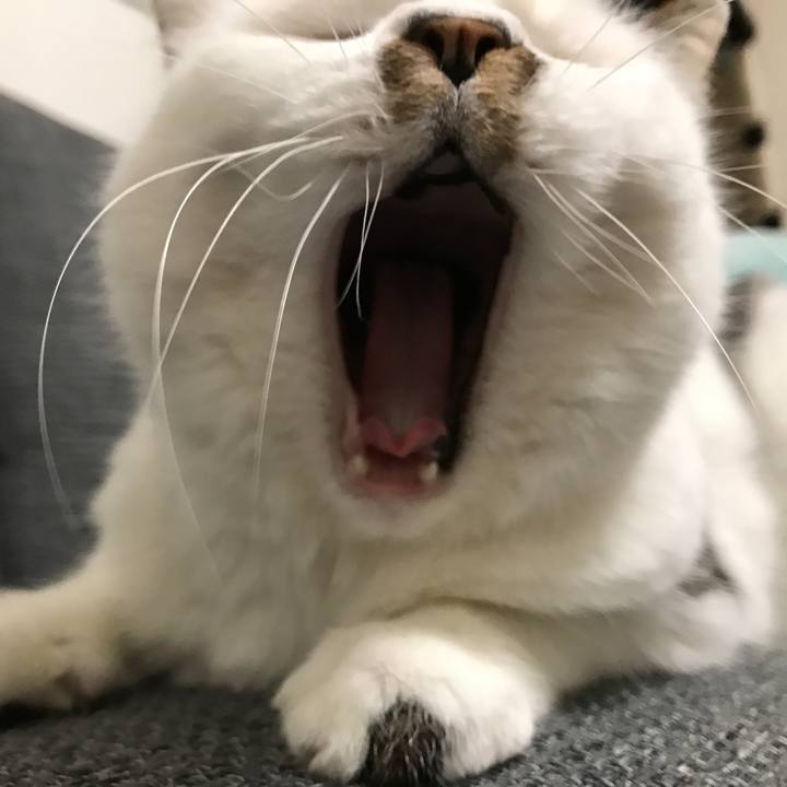 B4fad54e 92f4 4779 82e9 23f5bca9ce72