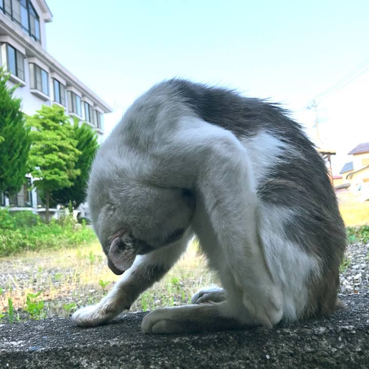 B4fb7b50 5442 4b35 b712 cb6a64ae2821