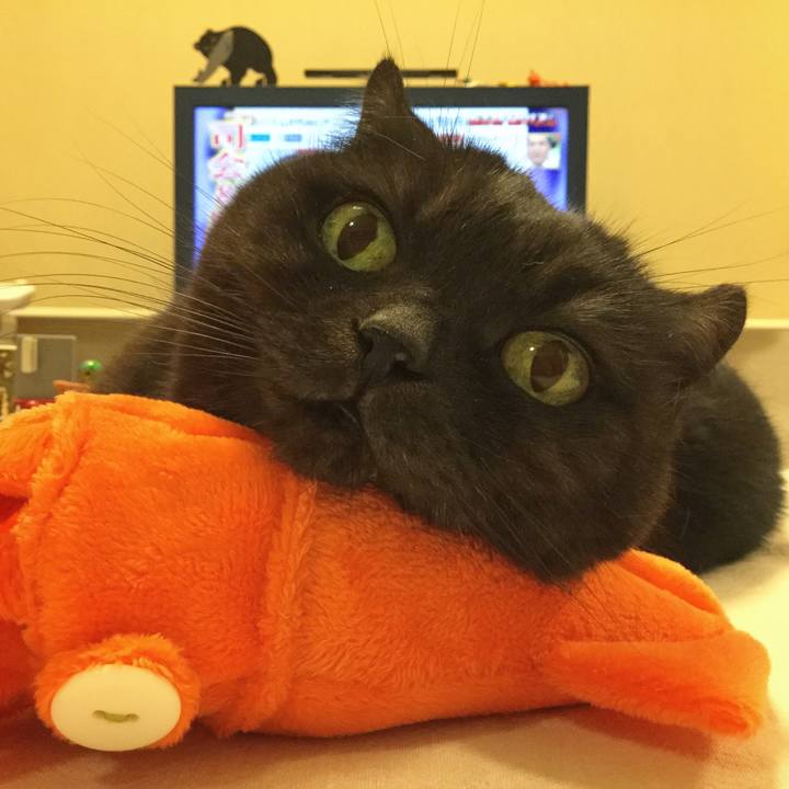 B4fb8d06 515e 4d7e a83f d701462f17ea