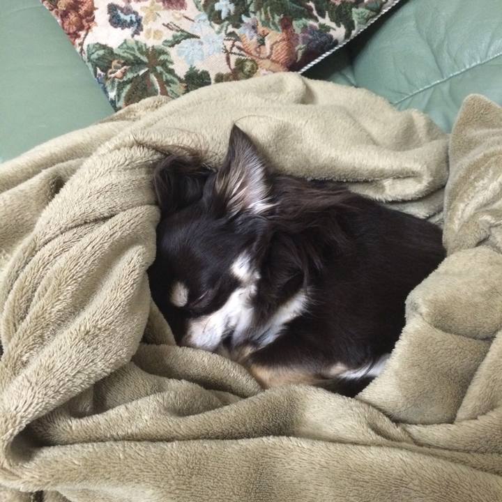 B4fc62ba f43e 443b 9bfe 3308cb6fda7a