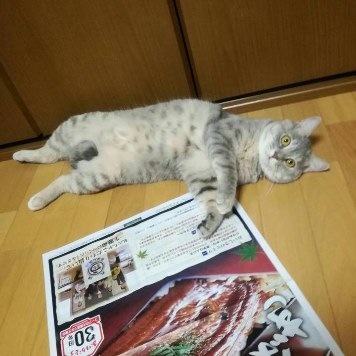 B4fd0fd0 b6e2 47a4 9fb8 45ec01ec4c24