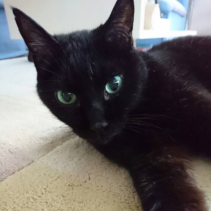 B4fd2fef 7559 4182 ac74 6a0c8578db49