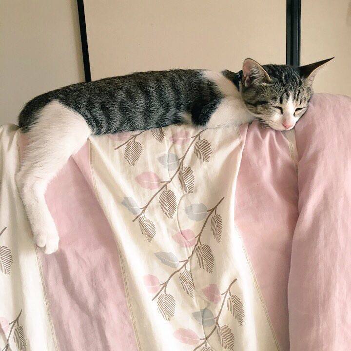 B4fd9762 8364 41db 8b3d d1a2972e786a