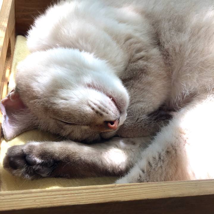 B4fe26cd 5d3d 48a9 810b 2b3dcc58037d