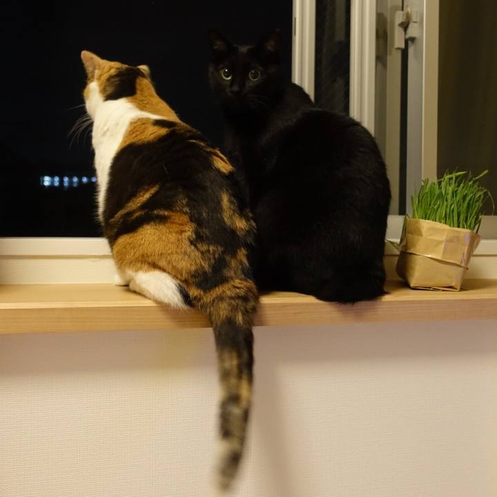 B4fe92bc 4570 41a3 a810 b3d4e068877a