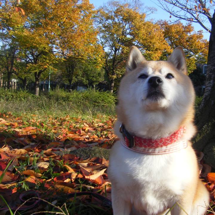 B4ff7b84 139b 4625 9e77 2a92e49ab1e2