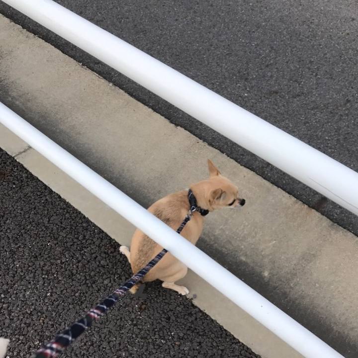 B4ffd962 207a 4fd8 a561 21bf6399a39b