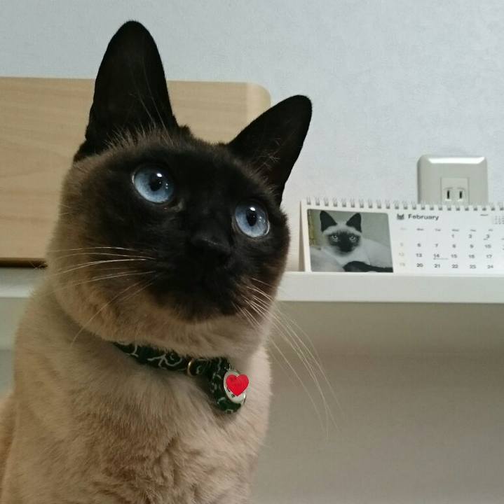 B4ffe186 ca6a 4325 a47d 1e9bd5e233a6