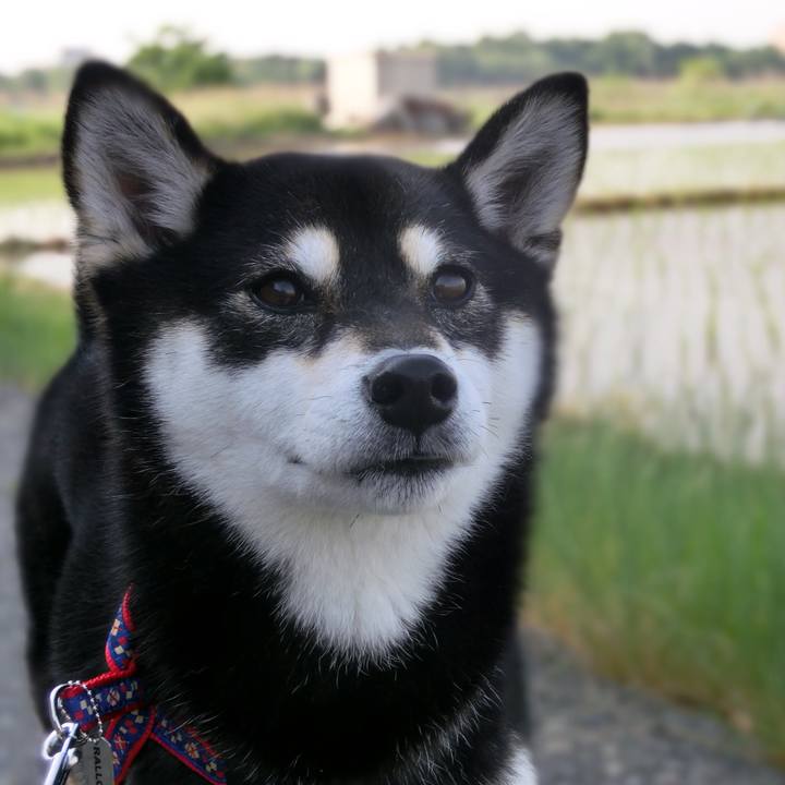 B50012a7 7926 4c3b 9d33 9617191c12e0