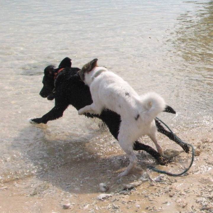 B5003420 5a33 4858 874f c829b8b1dfb0