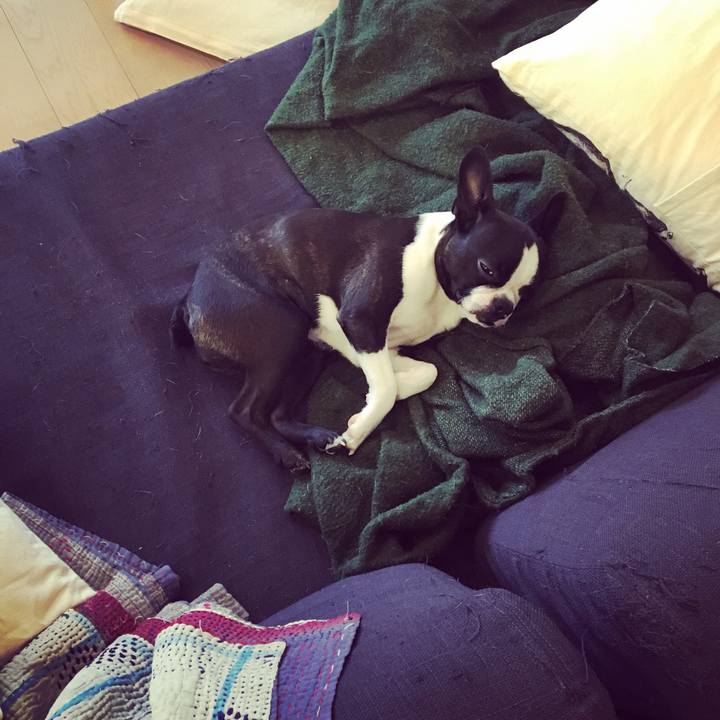 B5008e75 a3f3 4b44 96c3 4b97846c2160