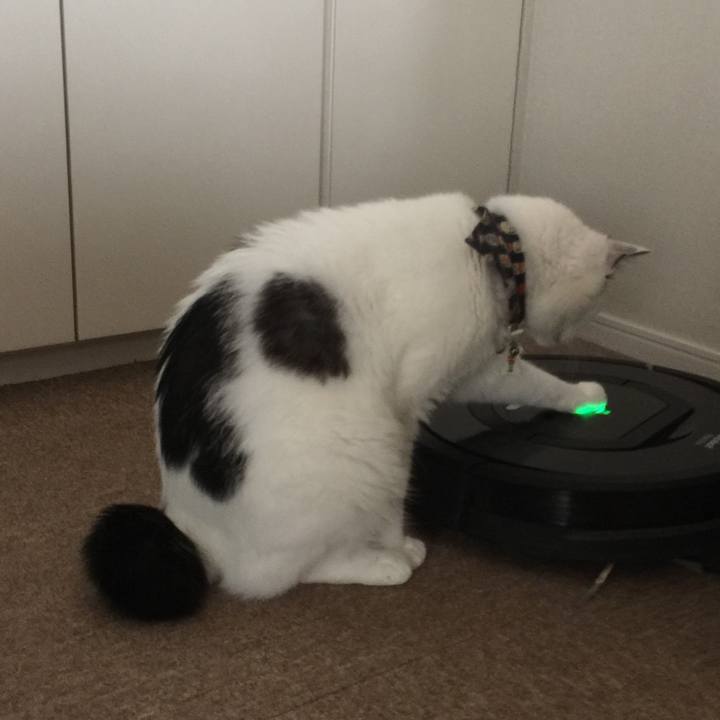 B50138ad 5ab2 4ccc 8b5c c353652bf1b8